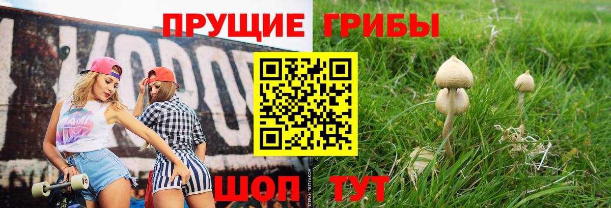 Псилоцибиновые грибы мицелий Пермь